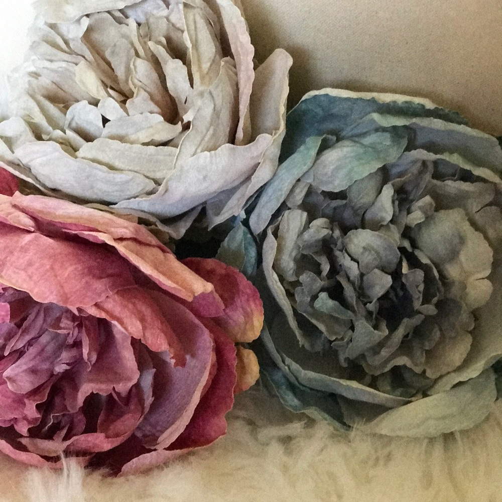 Meet your Posher, Andie